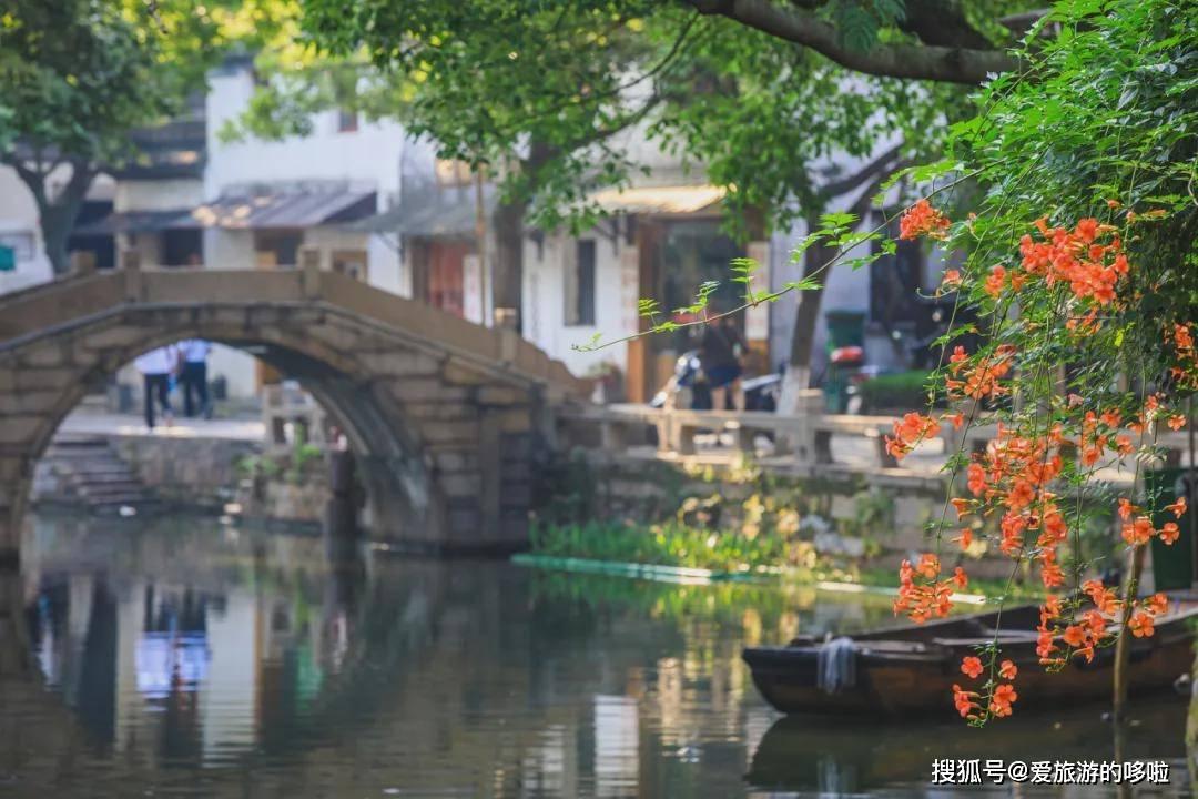 蓝狐视频